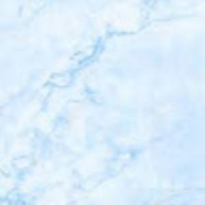 Meet your Posher, Hazel